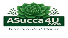 aSucca4u.com
